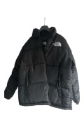 Kurtka the North Face L