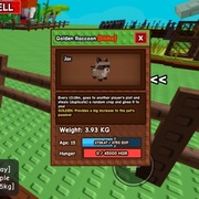 Raccoon pet grow a garden Roblox | GaG