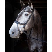 Kentaur ogłowie Anatomic Crystal EQUKAMELA ogłowia