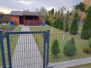 Działka ROD Pszczółka