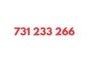731 233 266 STARTER PLAY KARTA SIM UNIKATOWY ZŁOTY PROSTY ŁATWY NUMER