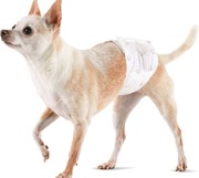 Amazon Basic pieluchy dla psa rozmiar XS 30 sztuk druga paczka gratis 