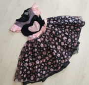 strój skienka przebranie serce kopciuszek 368