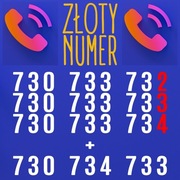 Złoty numer PAKIET 730 733 733 + 32 + 34 + bonus