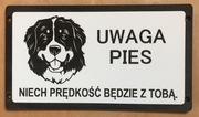 Tabliczki ostrzegawcze uwaga zły, groźny pies
