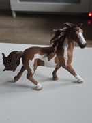koń rasy Pinto schleich ' 14