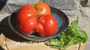 Pomidor Bull's Heart Kompakt. Sam miąższ!  Wyborna słodycz