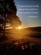 Zdjęcie, obrazek z tekstem motywacyjnym.