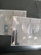 Dimmu Borgir Forces of the Northern Night