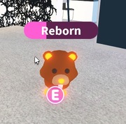 Adopt Me Roblox FR Neon Beaver