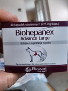 BIOWET BIOHEPANEX ADVANCE LARGE 40 kapsułek