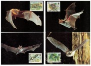 05-MC09-Bułgaria,WWF,1989,Nietoperze