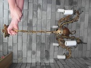 Mosiężny żyrandol 