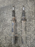 Amortyzatory Renault Scenic RX4 