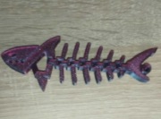 Rekin Midnight + Łożysko