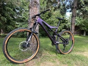 BULLS WILD CREED RS rXL