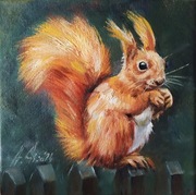 A.Giża WIEWIÓRKA obraz olejny 20/20 cm  DZIKA NATURA LAS