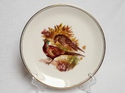 Talerz porcelanowy myśliwski bażanty złoty rant ok. 21 cm