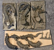 3 Tomb King Sepulchral Stalkers