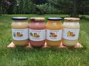 Miód Faceliowy  Wielokwiatowy Rzepakowy Malinowy Zestaw 2025 r