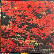 Stwory Wodne: black mud, bad big village EP cd wydawnictwo ladoabc