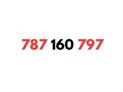 787 160 797 STARTER HEYAH KARTA SIM UNIKATOWY ZŁOTY PROSTY ŁATWY NUMER