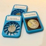 Organizer holder na monety SLAB etui Quadrum gradowanie DIY