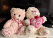 Dwa misie biały i rozowy 30cm cena za komplet