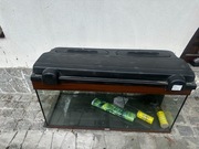 Akwarium podświetlane + karma