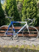 Szosa Trek BS6102