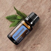 Peppermint, Mięta pipeprzowa 15 ml doTERRA