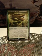 MTG: Omnivorous Flytrap *(0192) * DSK *