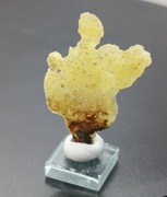 Brucyt Pakistan szlachetny minerał kolekcjonerski 