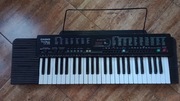 Keyboard Casio (organy)