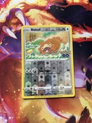 Bidoof ( Peelable Ditto) 059/078 Pokémon GO