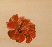 Martwa natura,kwiaty,hibiskus  olej,plotno obraz