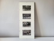 Obraz stare fotografie Zaprzęgi antyrama