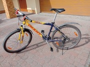 Giant Boulder rama 17,5"