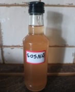Syrop sosnowy na kaszel