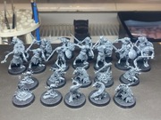 Warhammer Q Darkwater: Pox-wretches +Mire Kelpies + Tokens + Treasures