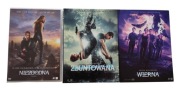 Seria Niezgodna 1-3 DVD / Zbuntowana / Wierna Trylogia Sci-Fi Lektor Polski