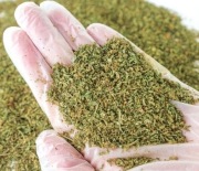 Susz trym trim CBD THC Marihuana 1KG - 1000G konopie siewne BEZ NASION