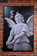 Ramka 40x60 ze zdjęciem: "Anioł"