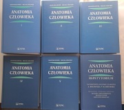 ANATOMIA CZŁOWIEKA 1-5 PLUS REPETYTORIUM - Bochenek Adam, Reicher Michał,