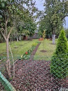 Działka ROD W Legnicy "Kraina Słońca"