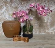 Torebka Damska Massimo Contti Brązowa