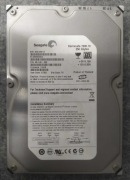 Dysk Seagate ST3250620AS 250GB Barracuda 7200.10 Sprawny bez błędów