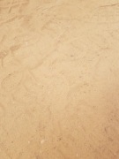 Przyjmę ziemię z wykopu