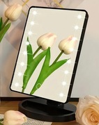 Lusterko z lampkami LED na biurko obrotowe 3 poziomy jasności czarne