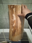 Lipa lipowe wys. 40cm, szer 21cm do rzeźbienia 30 40 cm 50 cm, 60 cm, 20 cm